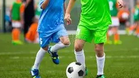 陈雨菲个人评价：演出得分6分