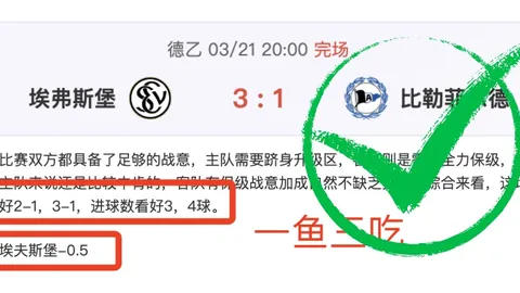 红色沙漠暗影追猎之棘获取攻略